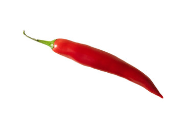 Czerwona ostra papryczka, papryka chilli. Bez tła
