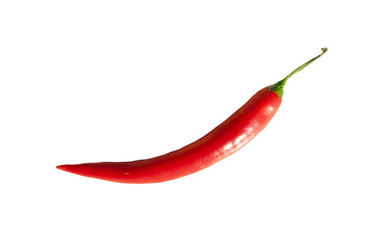 Czerwona ostra papryczka, papryka chilli. Bez tła