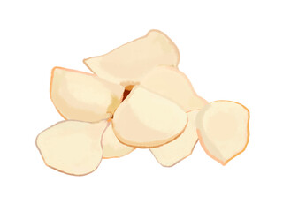 百合根（鱗片）