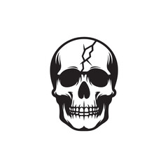 Vector Skull Icon Representing Danger and Toxicity.