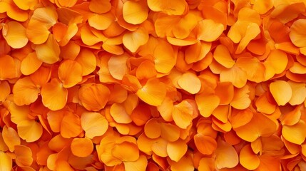 Vibrant orange flower petals creating a lush and colorful background