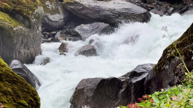 Powerful mountain river slow mo running through the big boulders down foggy rain forest valley in Makalu Barun National Park near Chatra Khola settlement. Mera peak climbing route, Himalayas, Nepal.