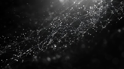 Abstract White Web Pattern on Black Background