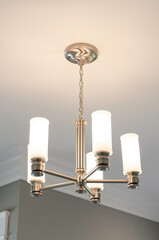Contemporary Chandelier With Cylindrical Frosted Lights