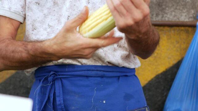 A vendor is getting ready to sell fresh corn that was just harvested at a local market