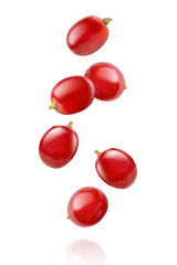 Red grapes isolated on white background