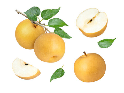 Snow pear isolated on white