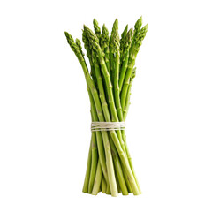 Fresh Green Asparagus Bundle