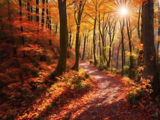 Obraz premium autumn in the forest