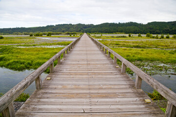 Fototapeta premium Horaibashi bridge in Shimada City, Shizuoka Prefecture, Japan.