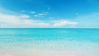 Fototapeta premium 青空と透き通る海の風景