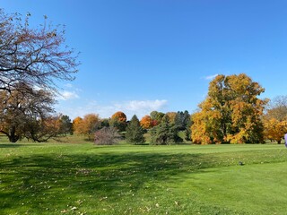 Fall tree line