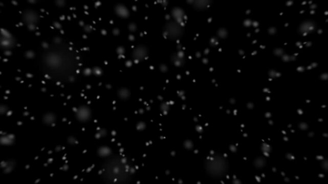 White Christmas