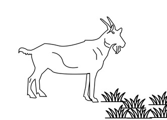 Farm animals Goat Icons . vector