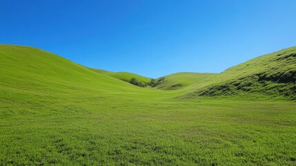 Fototapeta premium A clear hillside with patches of vibrant green grass and a crisp blue sky overhead, creating a feeling of openness and tranquility