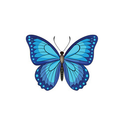 butterfly isolated on white