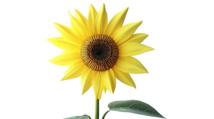 Naklejka premium A yellow sunflower with a black center