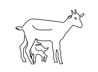 Farm animals Goat Icons . vector