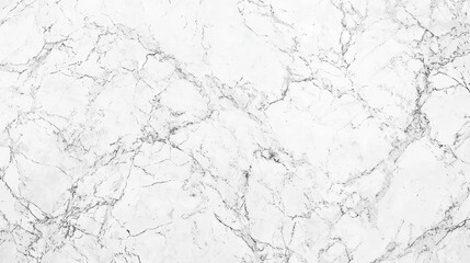 Obraz premium White Marble Texture Wallpaper. A luxurious white marble texture with subtle gray veining.