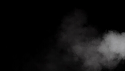 煙 霧 幻影 影 闇 白 黒 グラデーション ミステリー 幻想 夢 幽霊 影絵 ぼんやり 霞 静寂 無音 空虚 混沌 変幻