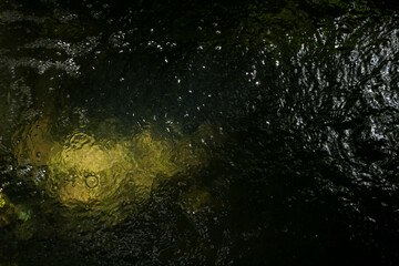 Raindrops on the surface of the water 