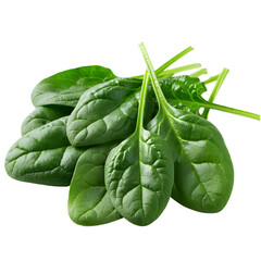 Fresh Spinach. Green Vegetables. png isolated background. transparent background