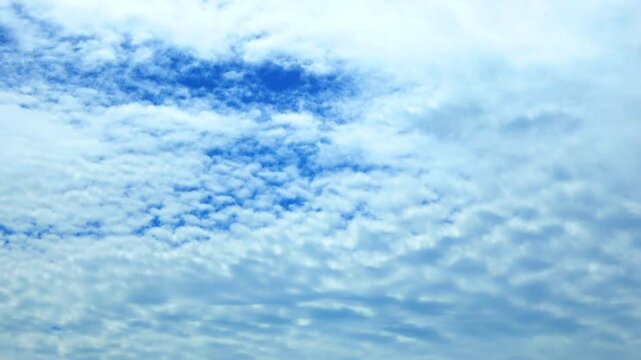 Timelapse shot of the movement of clouds in the blue sky. 4K