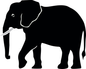 elephant isolated on white