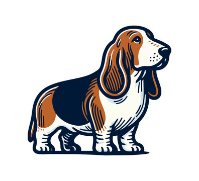recommend clip art: Basset hound dog hand drawn vector illustration