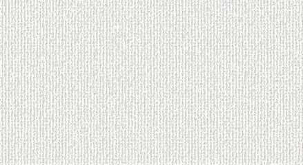 white canvas texture