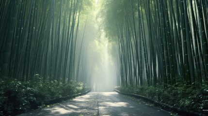 Naklejka premium A Mystical Path Through the Bamboo Forest