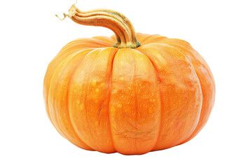 Obraz premium Pumpkin isolated on transparent background.