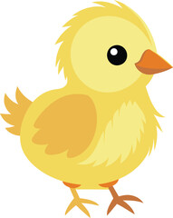 Baby chick color vector illustration 2