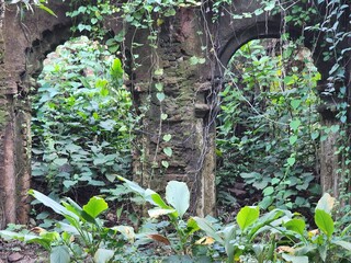 Green Trees Through a Broken Doorway