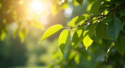 green leaves background