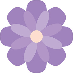 Calendula Illustration