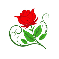 illustration of a rose