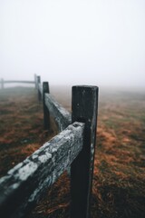 Fototapeta premium a foggy morning in Belarus with a lone farmer starting the potato harvest autumn season rural solitude traditional agriculture misty field with a wooden fence and distant forest in the background