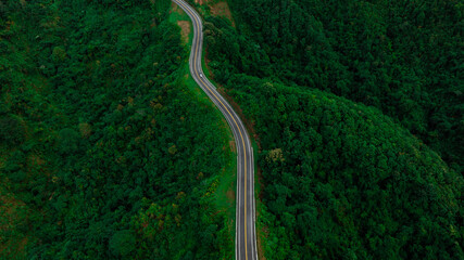 Aerial view of dark green forest road and white electric car Natural landscape and elevated roads Adventure travel and transportation and environmental protection concept
