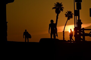 Sunset Palm Trees Surfers