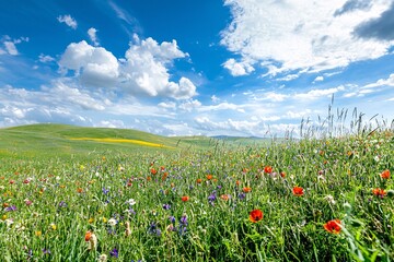 Obraz premium A vibrant landscape flourishes with wildflowers and swaying grass, animated by a gentle breeze beneath a clear azure sky.