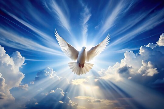 Eye level view of dove flying in sky with light shining down, representing holy spirit.