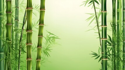 illustration with green bamboo plants
