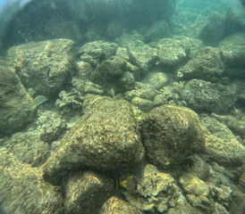 Under water at Poipu beach in Kauai, Hawaii, USA