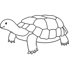 Turtle Icon