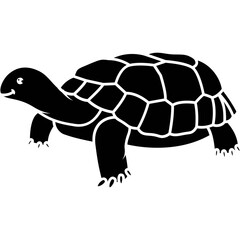 Turtle Icon