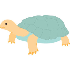 Turtle Illustration