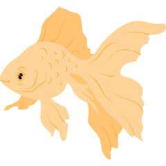 Fish Illustration