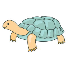 Turtle Sticker
