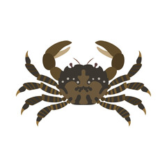 イソガニ。フラットなベクターイラスト。
Japanese shore crab. Flat vector illustration.